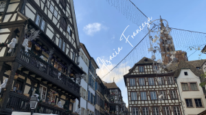 Captura de pantalla 2024-09-26 a las 8.52