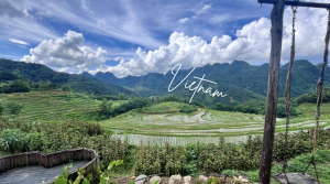 Captura de pantalla 2024-10-29 a las 16.49